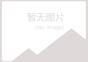 西安新城山柳冶炼有限公司